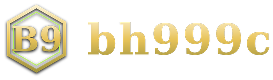 bh999c logo